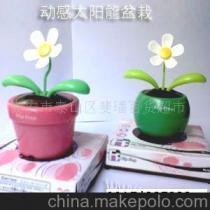 【太阳能动感盆栽(图)-太阳能 9037A 动感盆栽】价格,厂家,图片,通讯产品代理加盟,泰安市泰山区斐璠百货超市 -