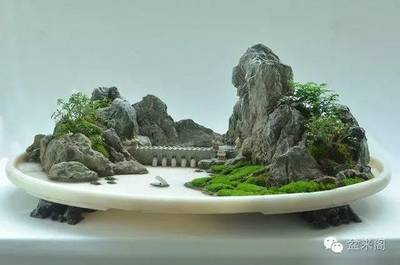 [装逼必备]盆景达人连这些都不懂,玩遍盆景也枉然_艺术